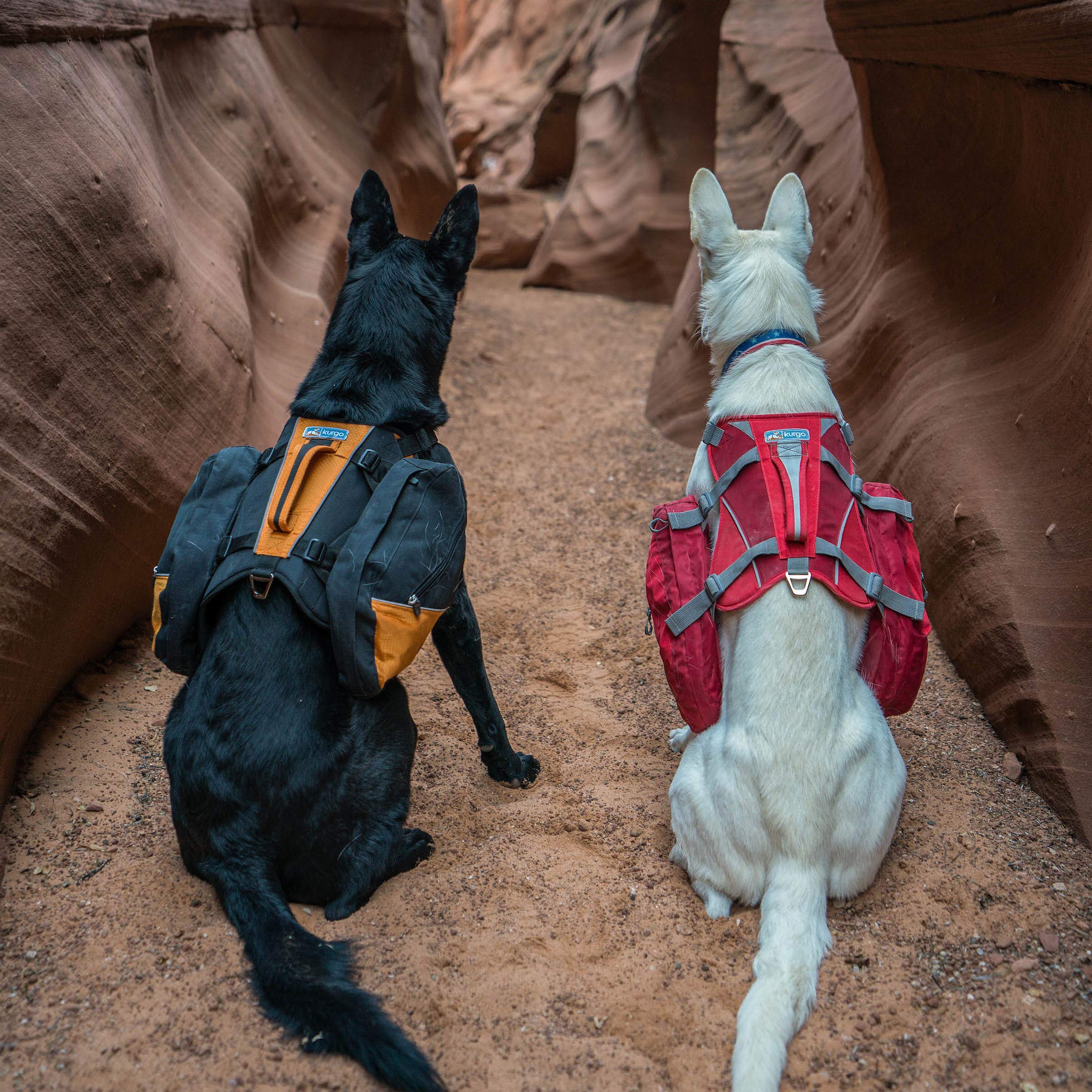 Kurgo Baxter Hiking Reflective Dog Backpack and Harness