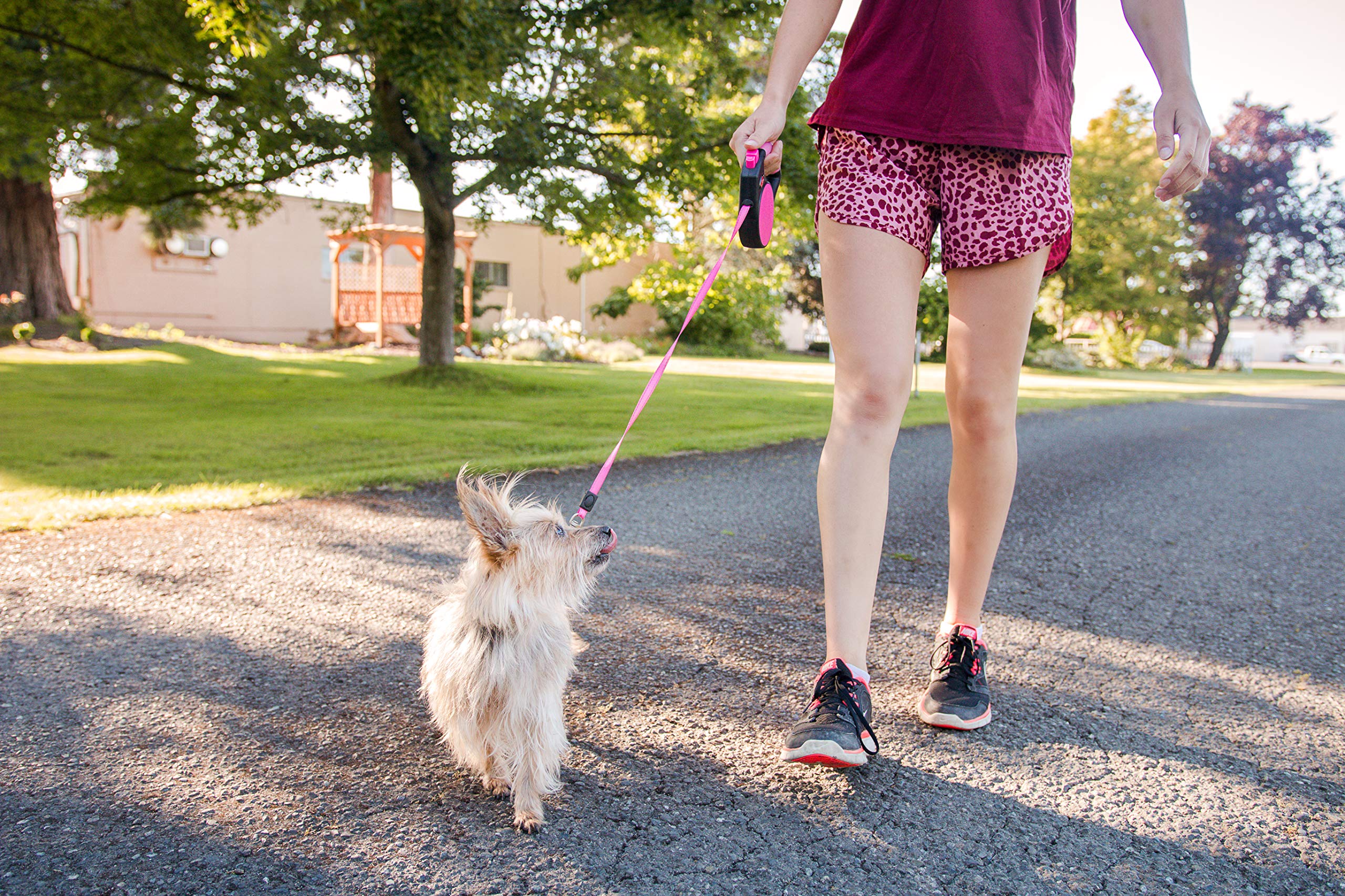 Wigzi Gel Handle Gripped Tape Retractable Nylon Dog Leash - Pink - Large - Up to 16 Feet  