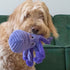 Kong Cuteseas Rufflez Octopus Squeak and Plush Dog Toy - Medium  