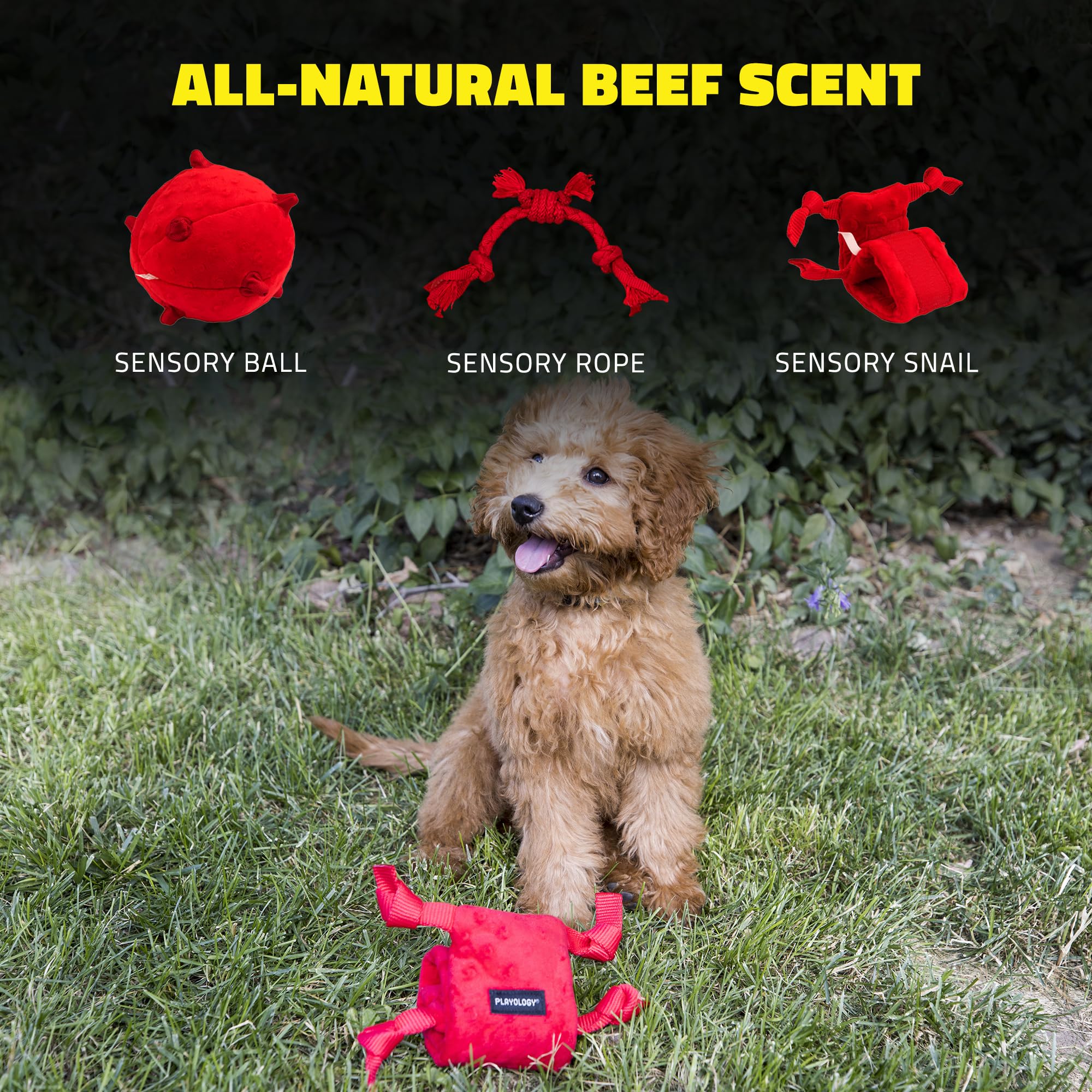 Playology Beef Scented Sensory Snail Squeak and Crinkle Puppy Dog Toy with Encapsiscent Tech - Small  