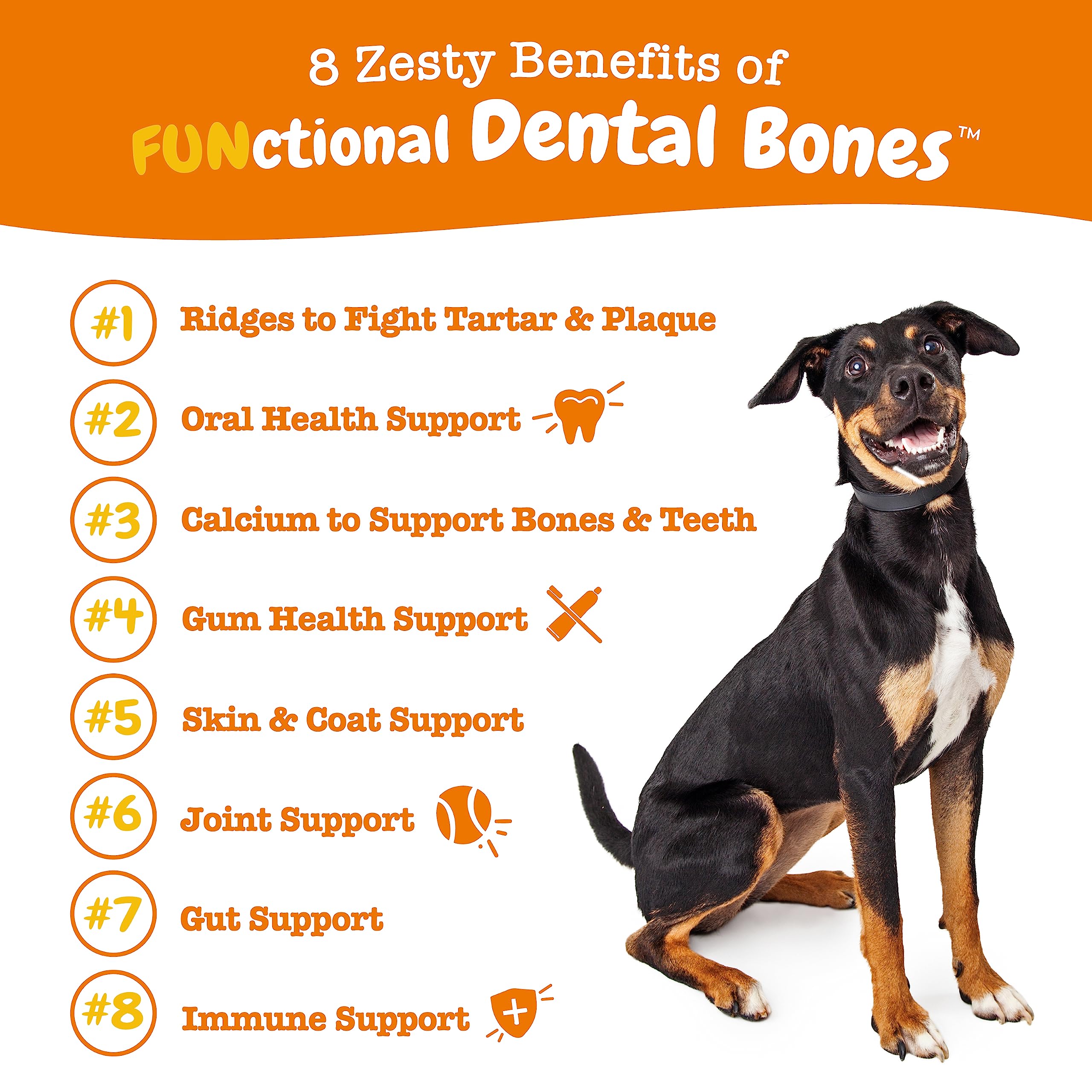 Zesty Paws All-in-1 Functional Bones with Cinnamon Dental Dog Treats - Large - 8 Count - 10 Oz  