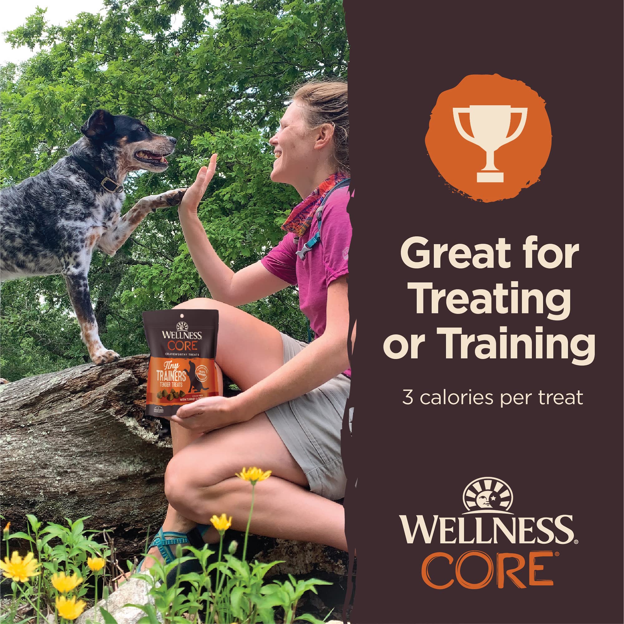 Wellness Core Tiny Trainers Grain-Free Tender Turkey and Pomegranate Soft and Chewy Training Dog Treats - 6 Oz  