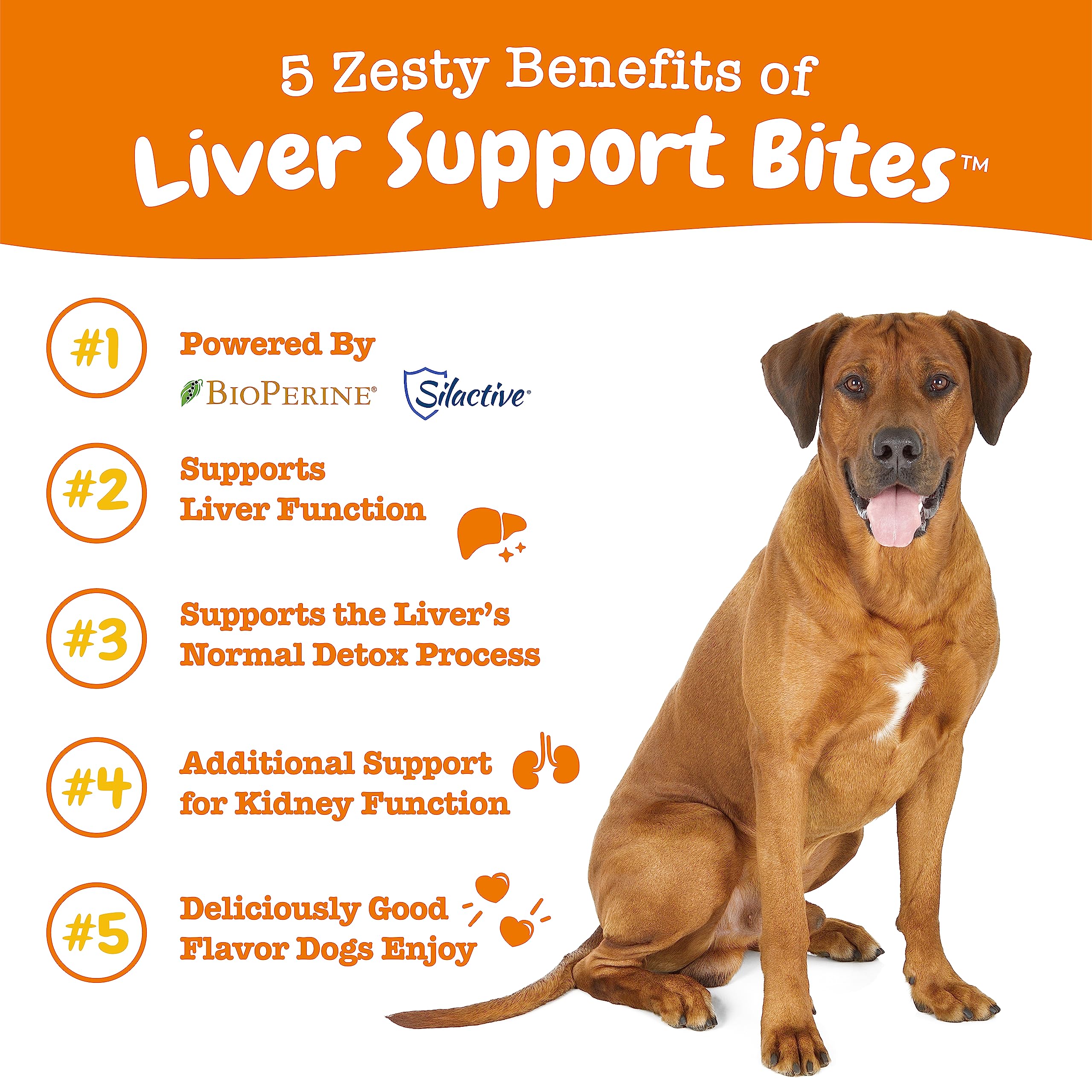 Zesty Paws Liver Support Bites Multifunctional Chicken Flavor Soft Chew Dog Supplements - 90 Count  