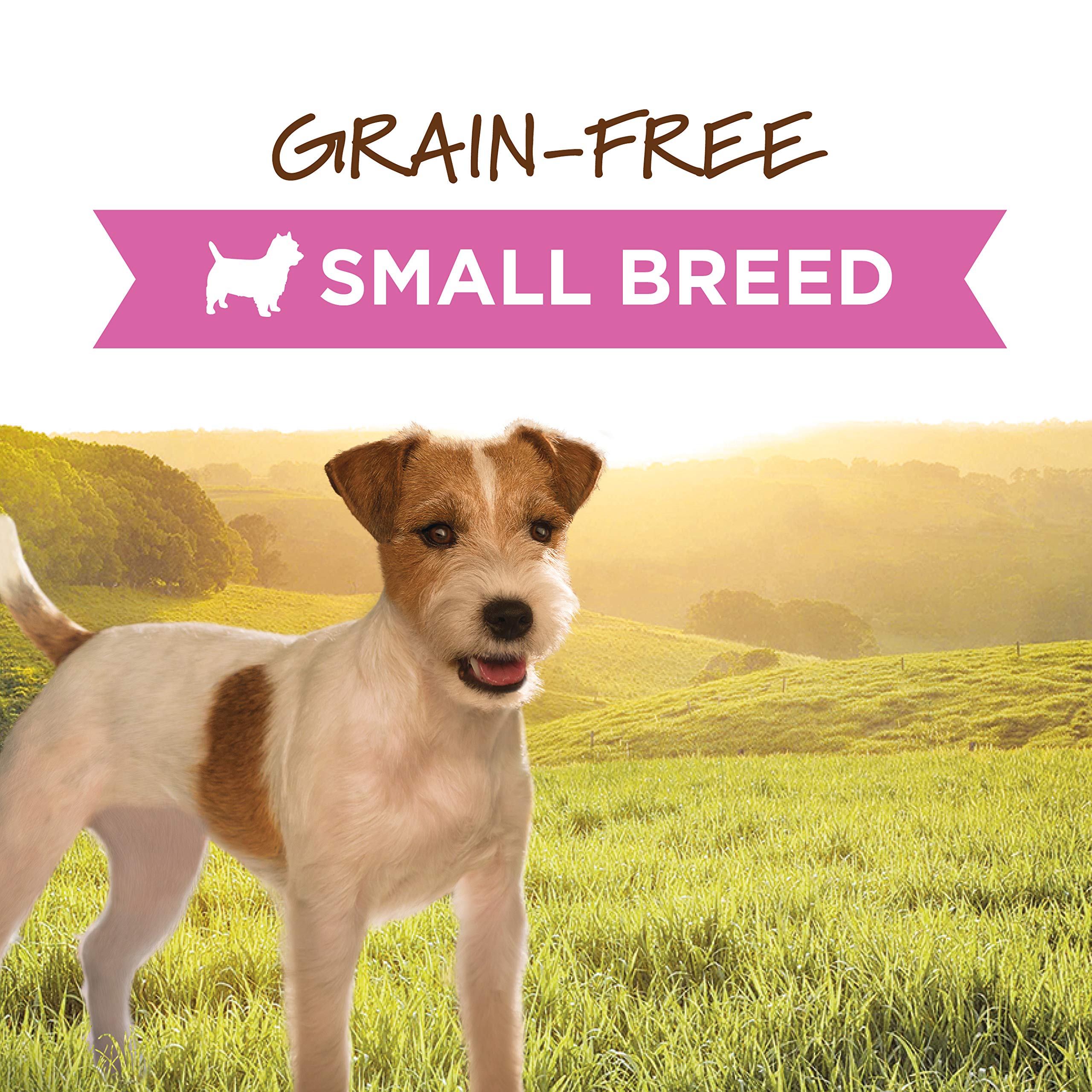 Instinct Grain-Free Chicken Small-Breed Canned Dog Food - 3 Oz - Case of 24  