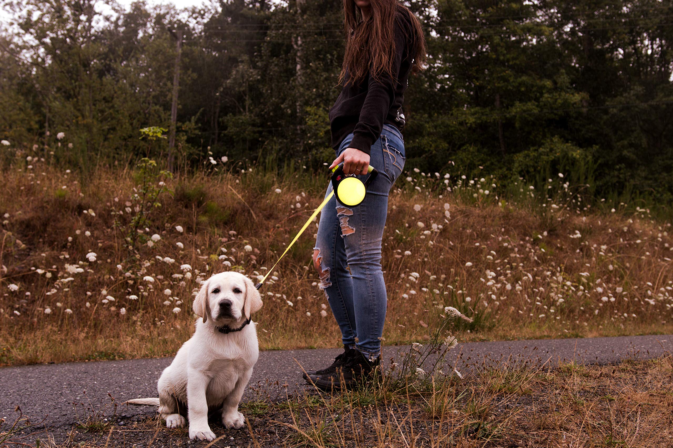 Wigzi Gel Handle Gripped Tape Retractable Nylon Dog Leash - Yellow - Medium - Up to 16 Feet  