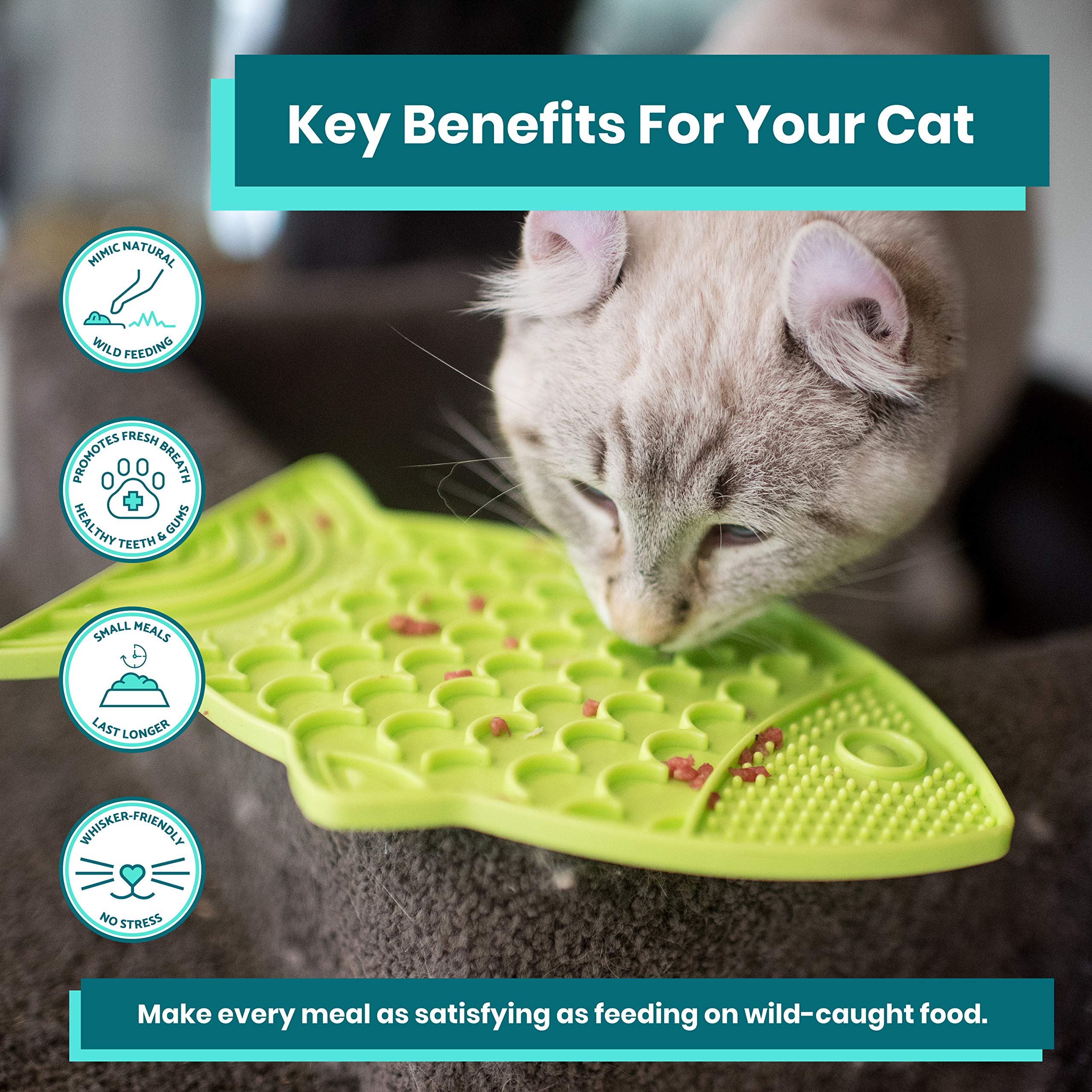 Innovative Pet Lickimat Felix Slow Feeding Mat for Cats - Green  