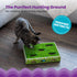 Petstages Grass Patch Hunting Box Interactive Puzzle Cat Toy and Scratcher  