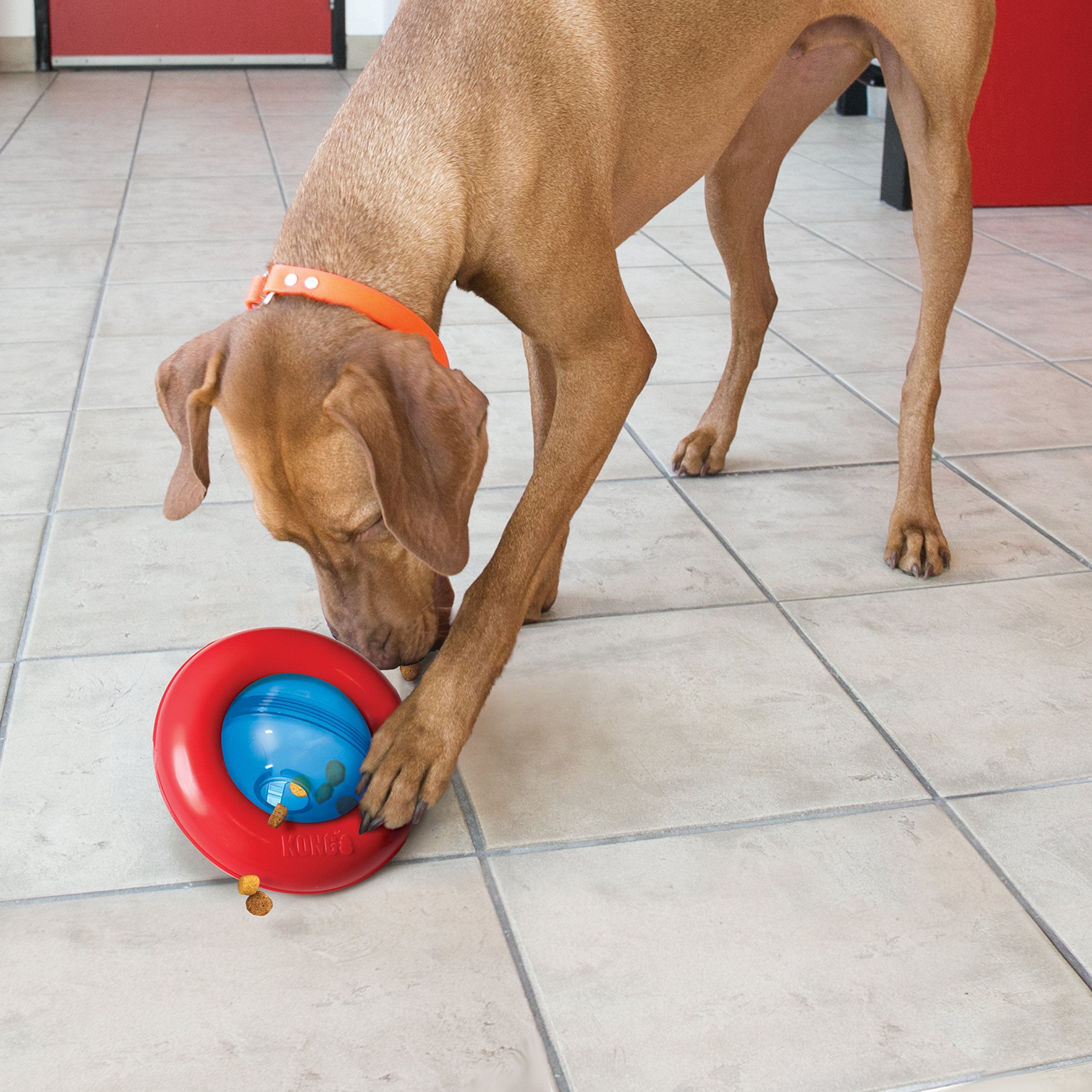 Kong Gyro Treat Dispensing Rubber Dog Toy - Small  