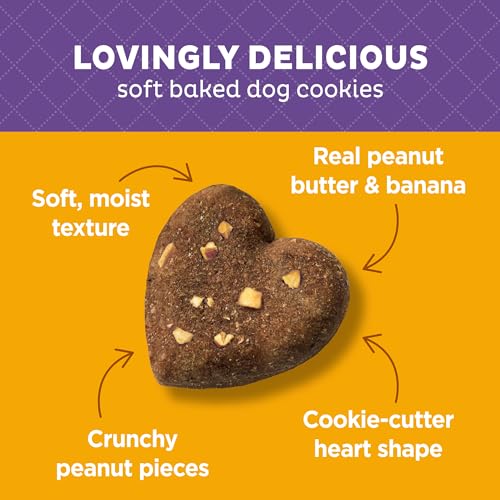 Old Mother Hubbard Wholesome Indulgences Peanut Butter and Banana Biscuit Dog Treats - 10 Oz - Case of 4