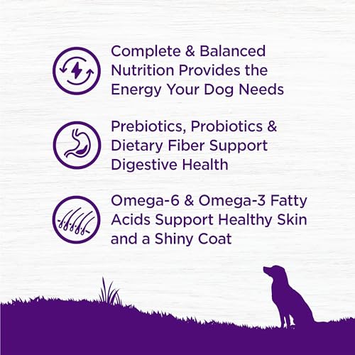 Wellness Complete Health Wholesome Grains Beef and Barley Recipe Adult Dry Dog Food - 26 Lbs