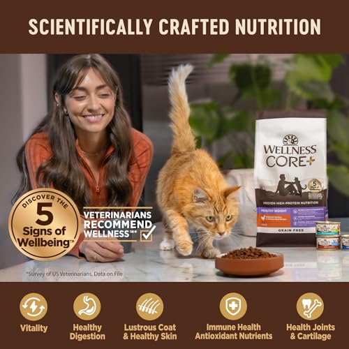 Wellness CORE+ Hairball Control High-Protein Grain-Free Chicken and Chicken Meal Adult Dry Cat Food - 4.75 Lbs