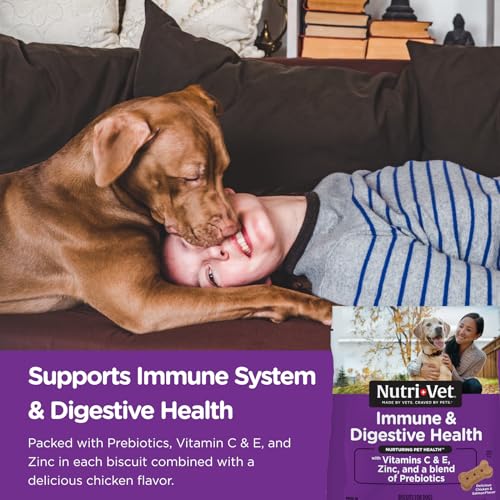 Nutri-Vet Immune and Degstive Health Chicken and Salmon Crunchy Dog Biscuits Treats - 16 Oz