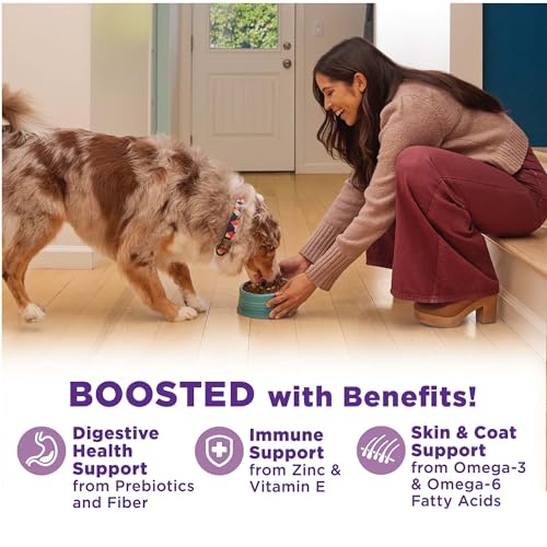 Wellness Bowl Boosters Hearty Toppers Grain-Free Chicken and Pumpkin in Broth Wet Dog Food Topper - 5.5 Oz - Case of 12