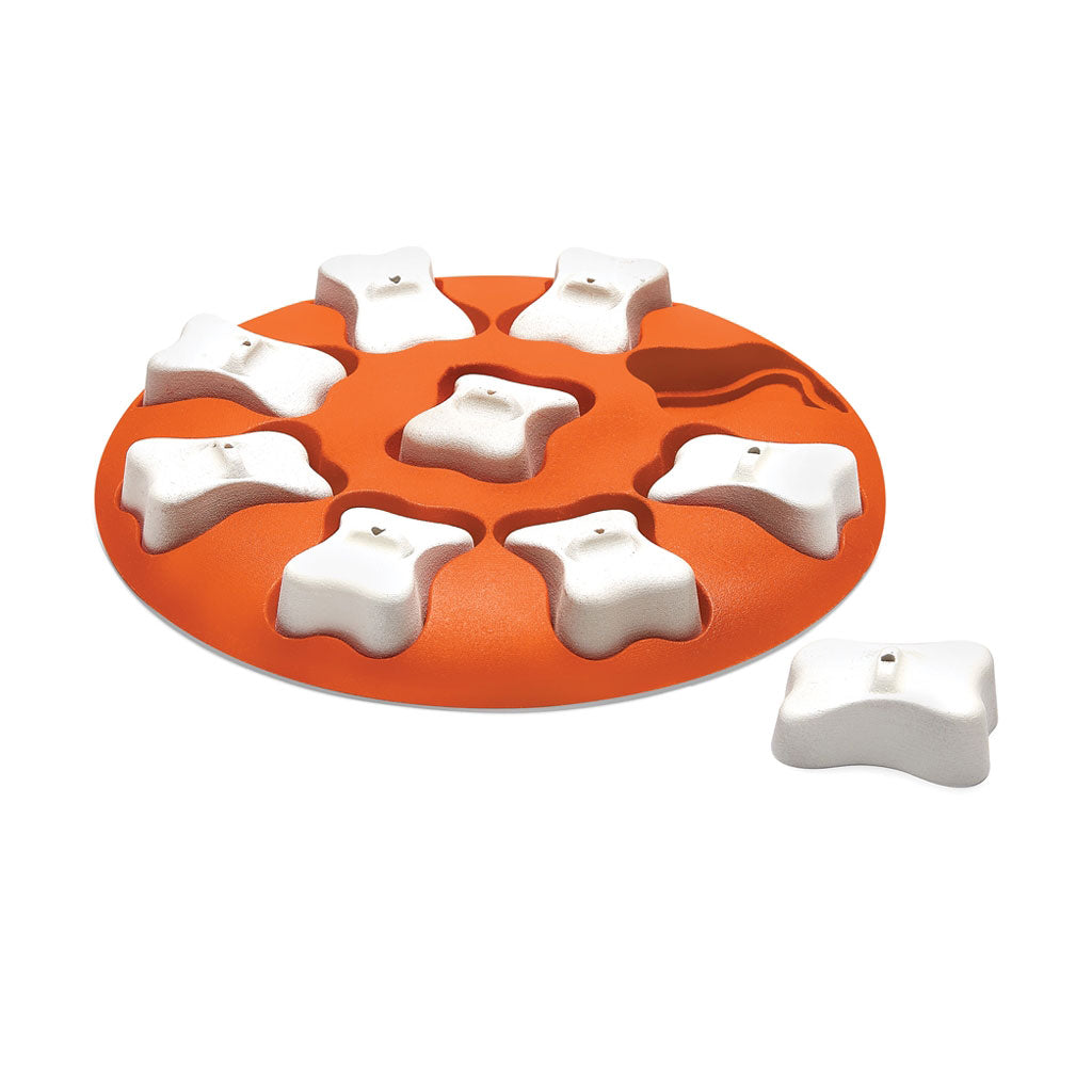 Outward Hound Nina Ottosson Interactive Smart Dog Puzzle Dog Toy and Feeder