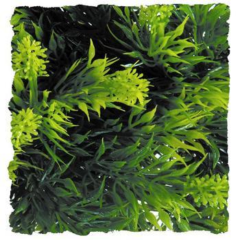 Zoo Med Laboratories Natural Bush Malaysian Fern Plastic Plant Aquarium and Terrarium Décor - Small  