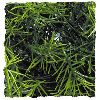 Zoo Med Laboratories Natural Cashuarina Bush Plastic Plant Aquarium Décor - Small  