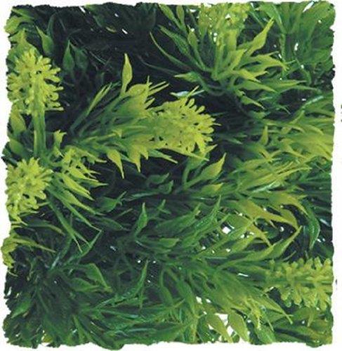 Zoo Med Laboratories Natural Bush Malaysian Fern Plastic Plant Aquarium and Terrarium Décor - Medium  