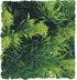 Zoo Med Laboratories Natural Bush Malaysian Fern Plastic Plant Aquarium and Terrarium Décor - Medium  