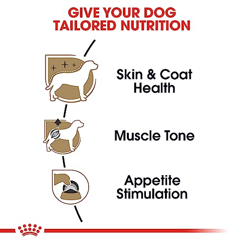 Royal Canin Breed Health Nutrition Poodle Loaf in Sauce Adult Canned Dog Food - 3 Oz - Case of 24