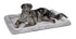Midwest Homes Quite Time Deluxe Wave Rectangular Dog Bed and Crate Mat
