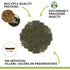 Fluval Bug Bites Insect Pleco Formula for Medium-Large Sized Bottom Feeding Sticks Fish Food - 4.6 Oz