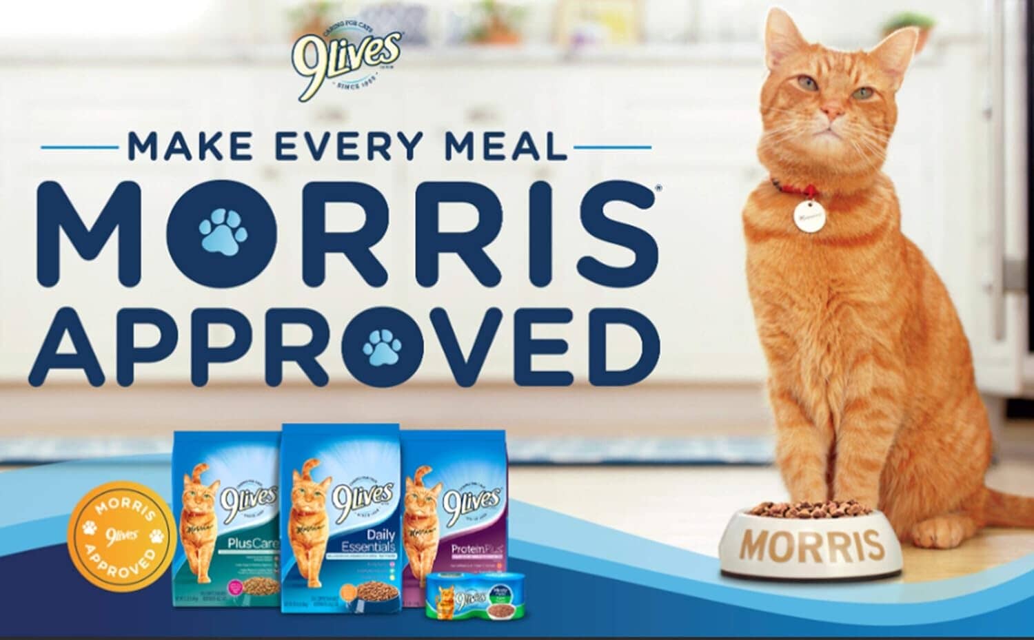 9Lives Chicken and Turkey Crunchy Cat Treats - 2.1 Oz - Case of 12  