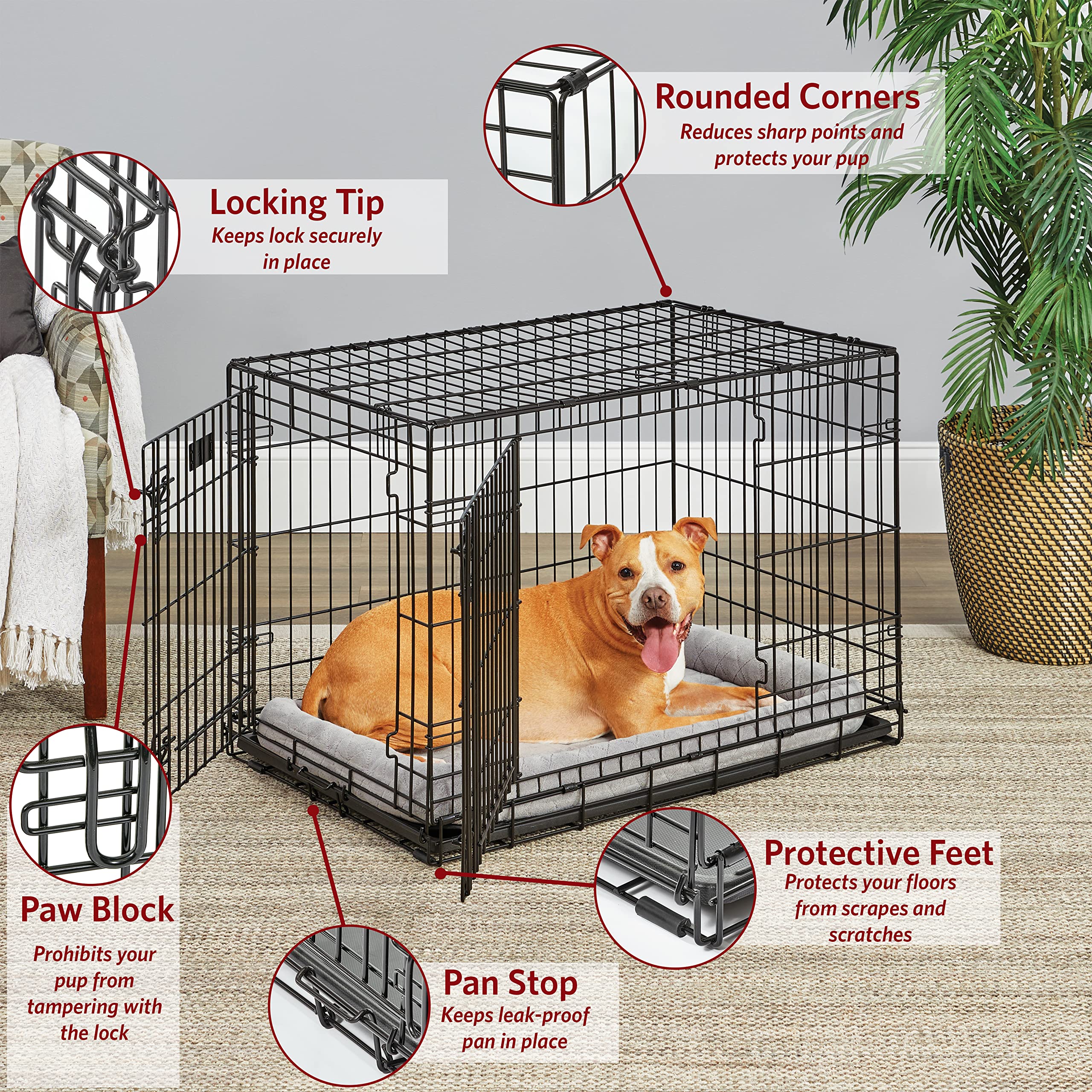 Midwest I-Crate Single Door Metal Folding Dog Crate with Divider Panel - 36" X 23" X 25" Inches  