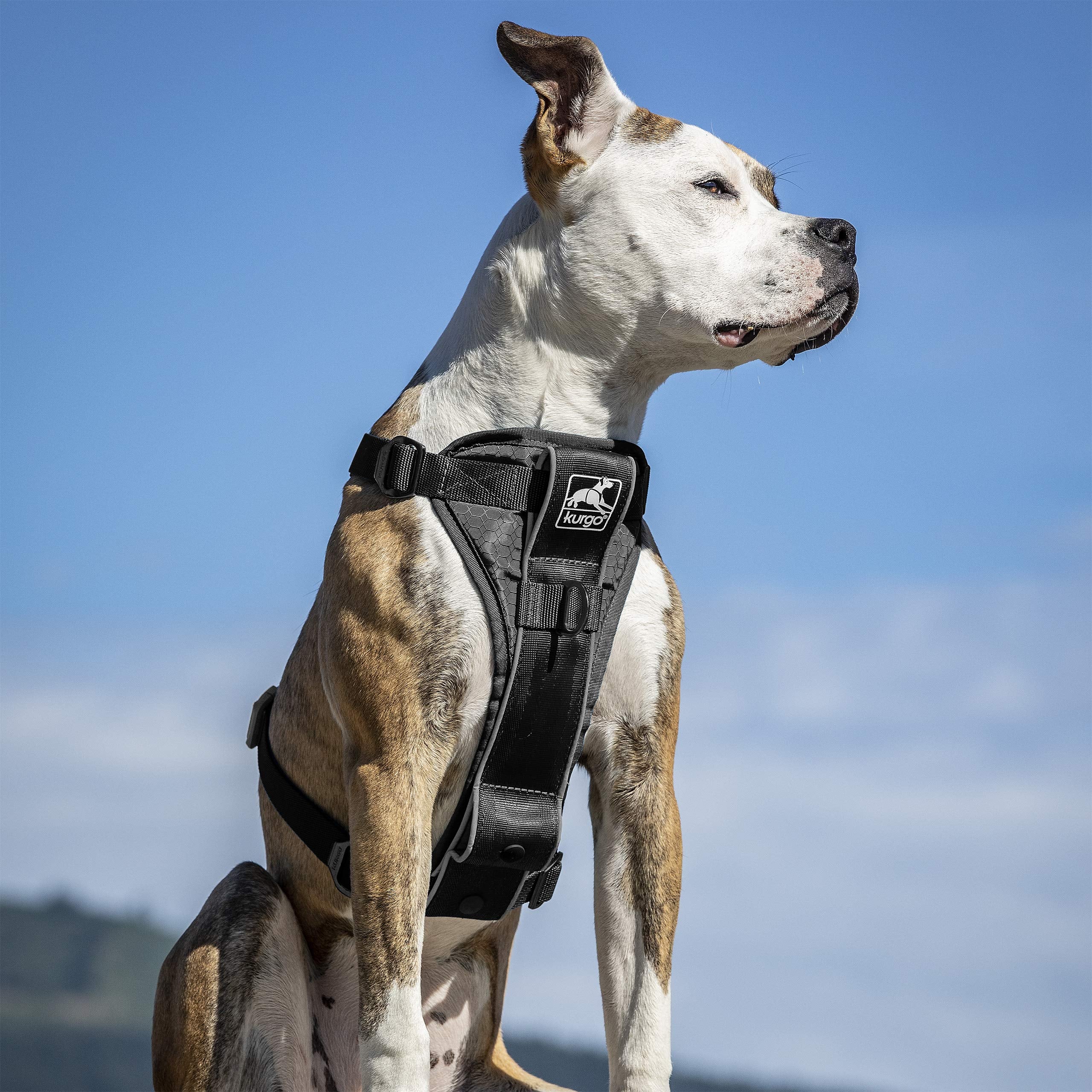 Kurgo Tru-Fit Enhanced Strength No-Pull Smart Dog Harness - Black