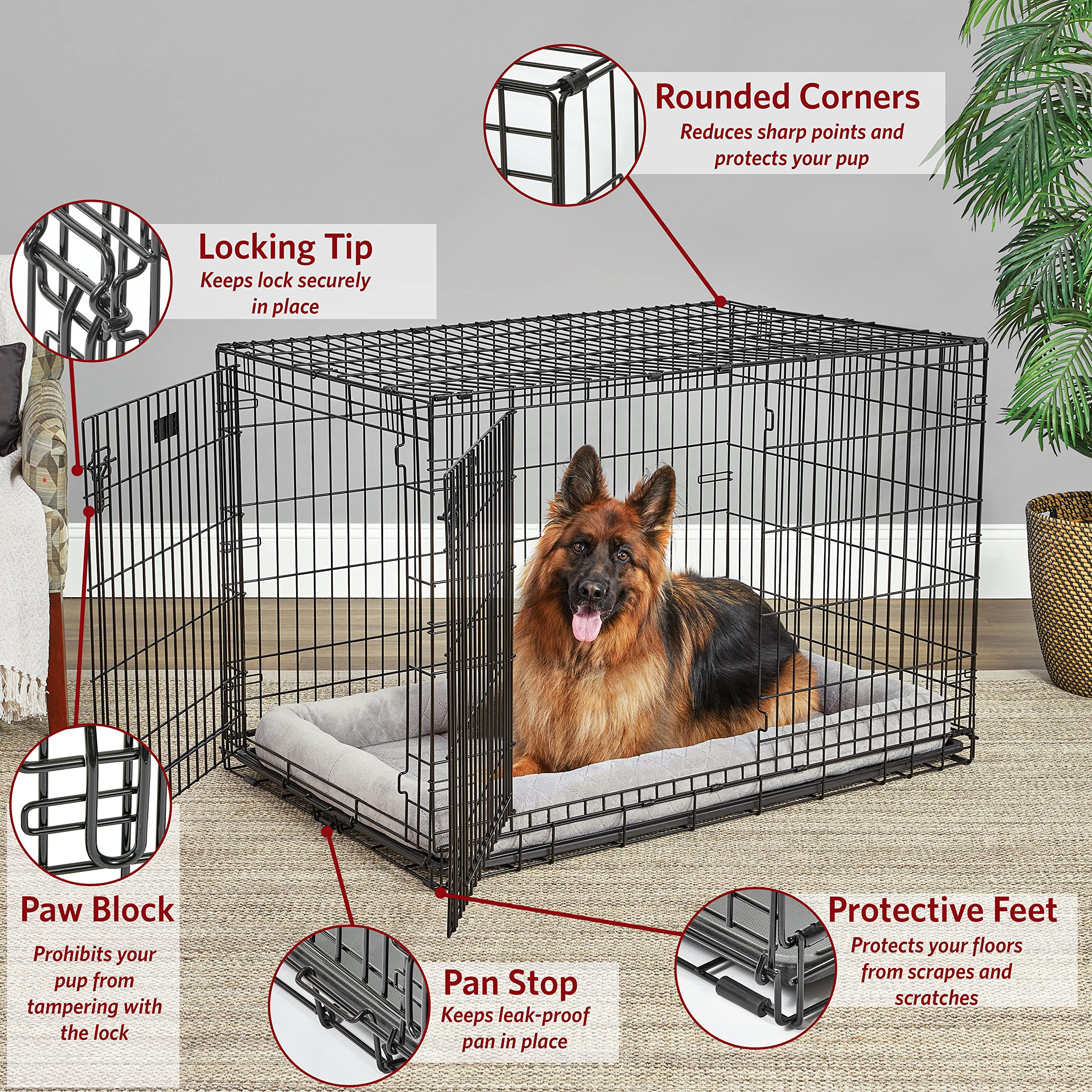 Midwest Lifestages Metal Folding Single Door Dog Crate with Divider - 48