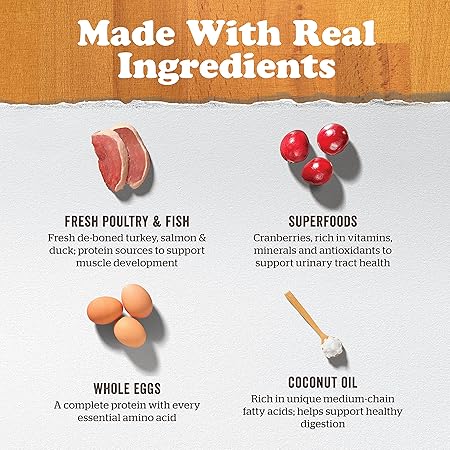 Petcurean Now Fresh Grain-Free Turkey Salmon and Duck Senior Cat Dry Cat Food - 3 Lbs