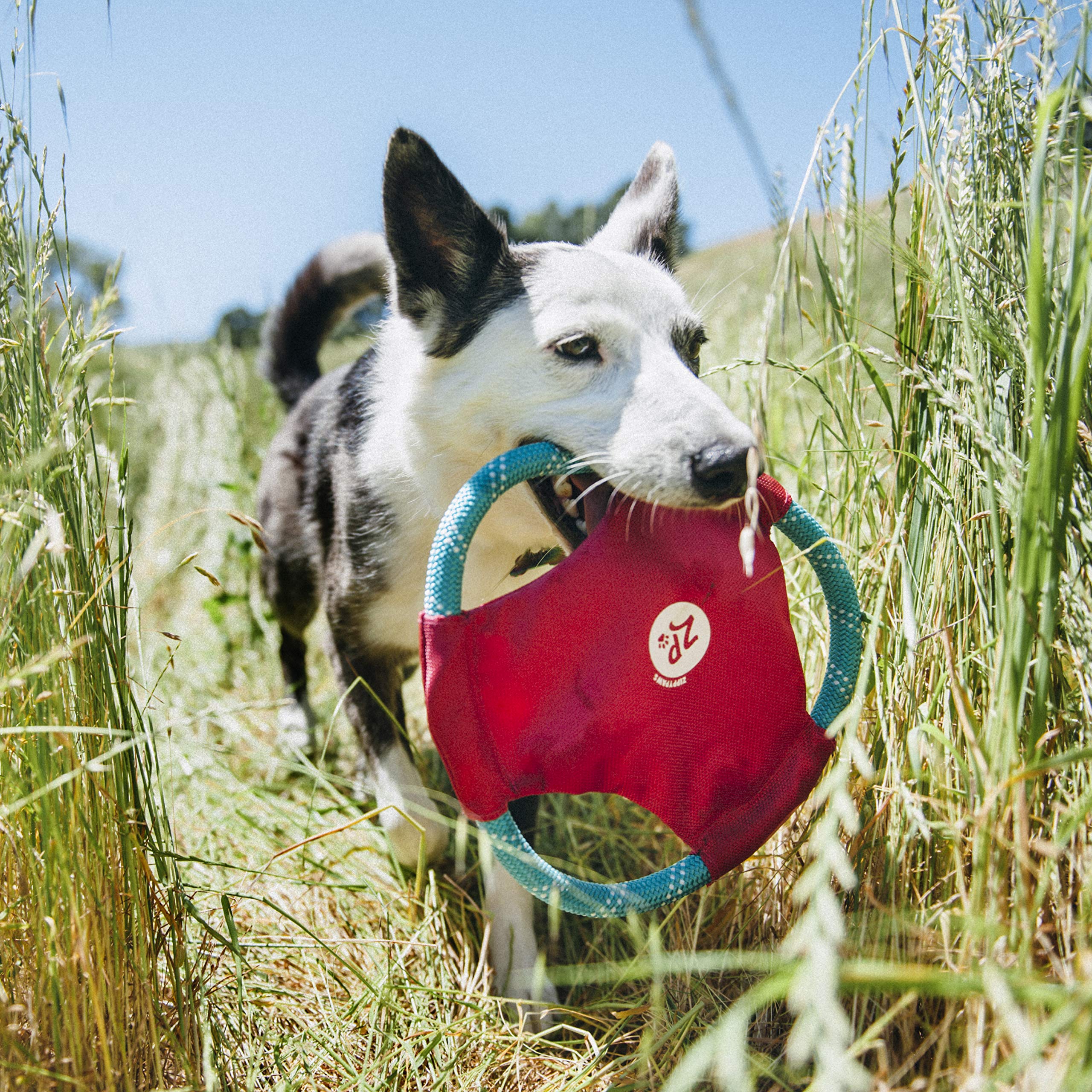 Zippy Paws Rope Gliderz Frisbee Fetch Nylon and Rope Dog Toy - Magenta - Medium  