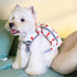 Touchdog ® Polka Dot Large Pocketed Zippered Duffle Dog Backpack and Harness