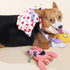 Touchdog ® Polka Dot Large Pocketed Zippered Duffle Dog Backpack and Harness  