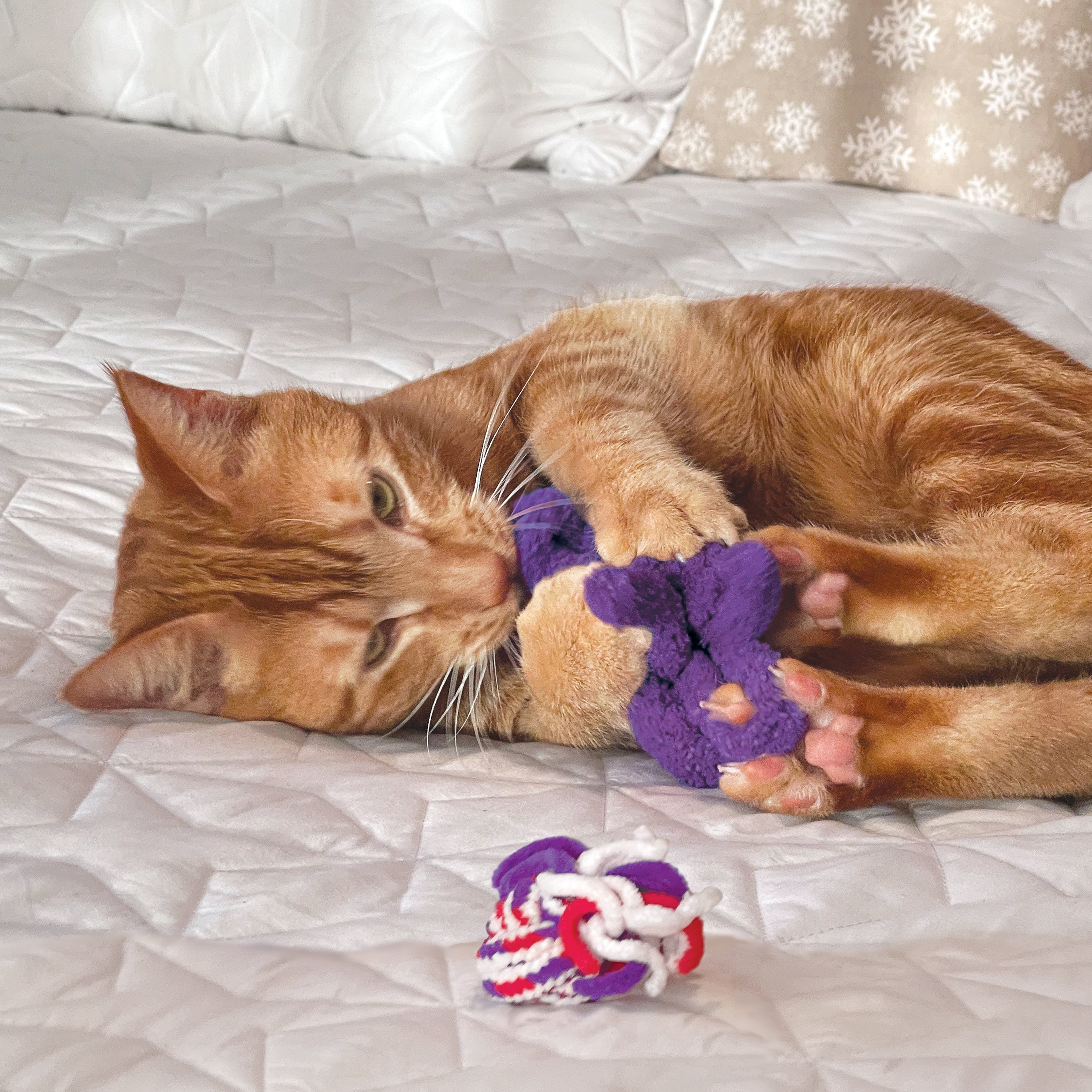 Kong Active Rope Cat Toy - Red and Purple - 2 Pack  