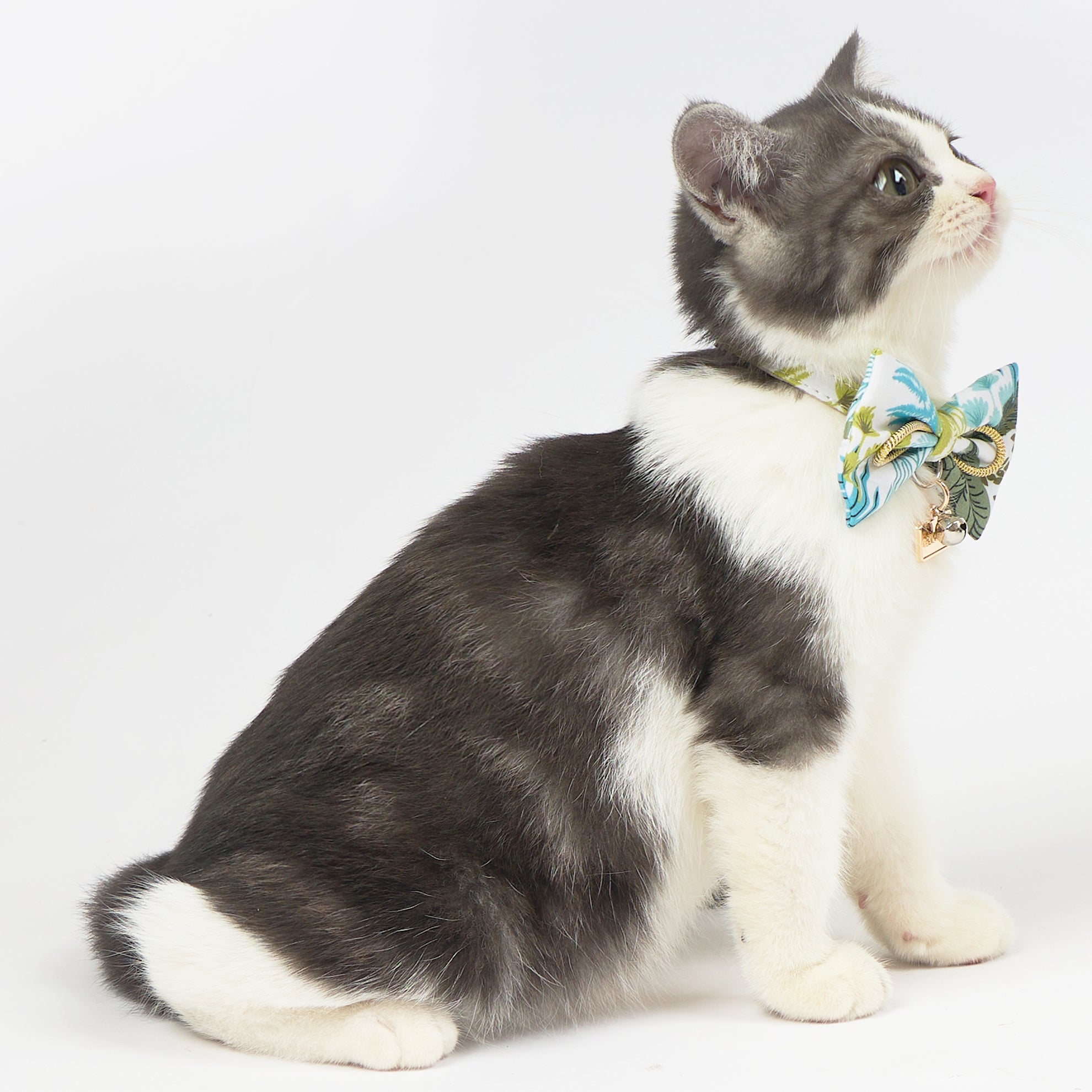 Touchcat ® Tropical Patterned Designer Cat Collar with Bow  