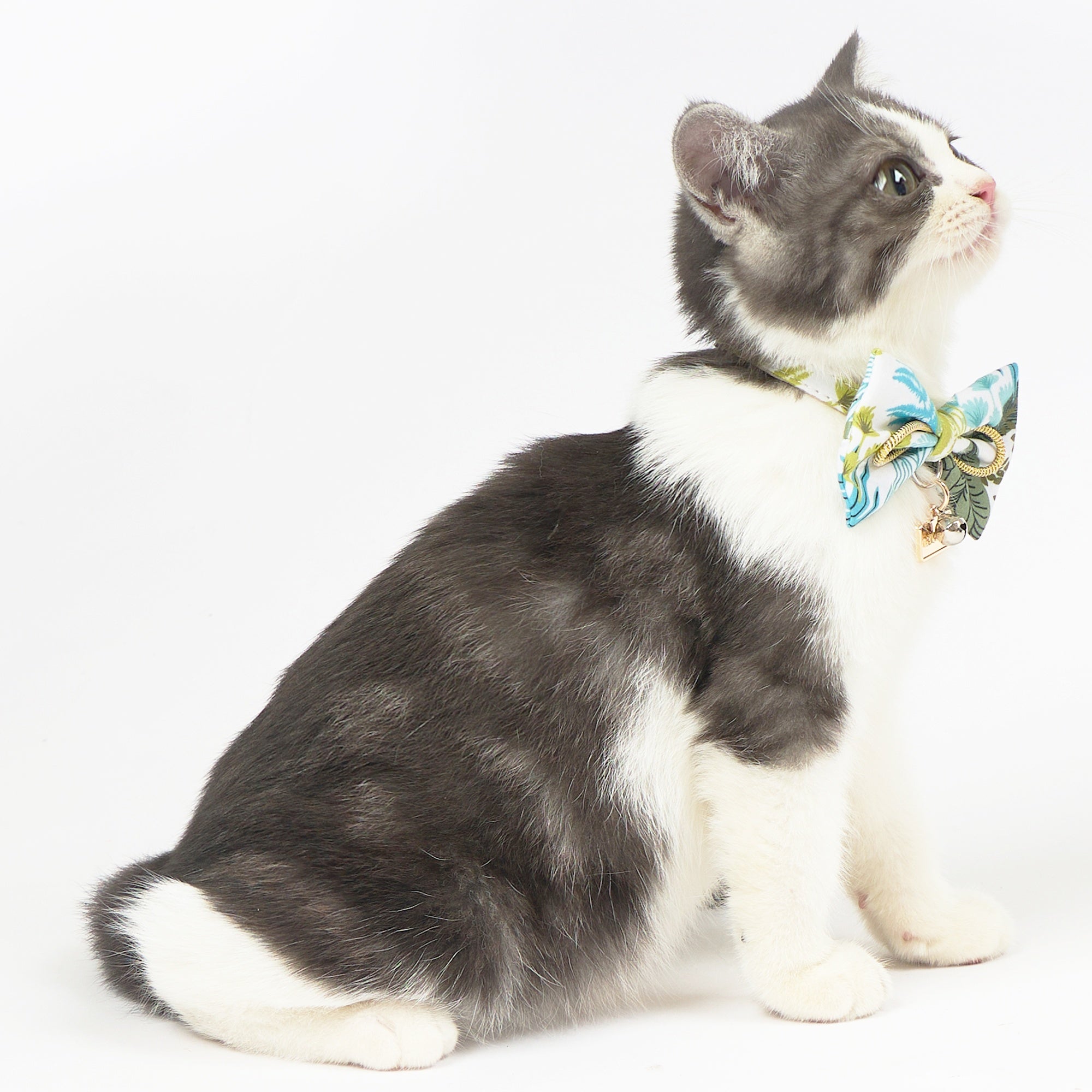 Touchcat ® Tropical Patterned Designer Cat Collar with Bow