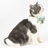 Touchcat ® Tropical Patterned Designer Cat Collar with Bow
