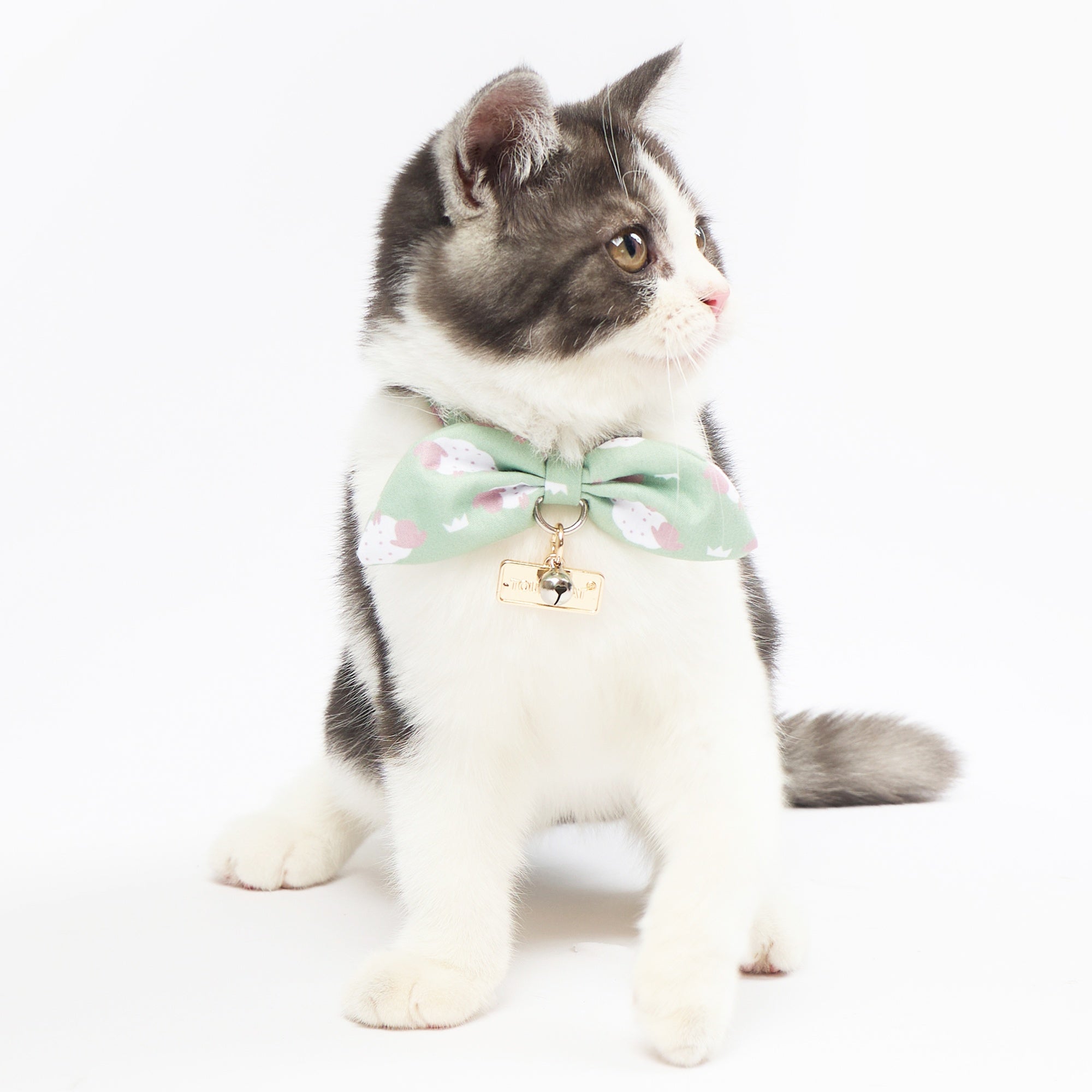 Touchcat ® Shepherd Patterned Designer Cat Collar with Bow Green Small