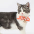 Touchcat ® Shepherd Patterned Designer Cat Collar with Bow