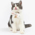 Touchcat ® Pineapple Patterned Designer Cat Collar with Bow Pink Small