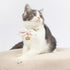 Touchcat ® Pineapple Patterned Designer Cat Collar with Bow