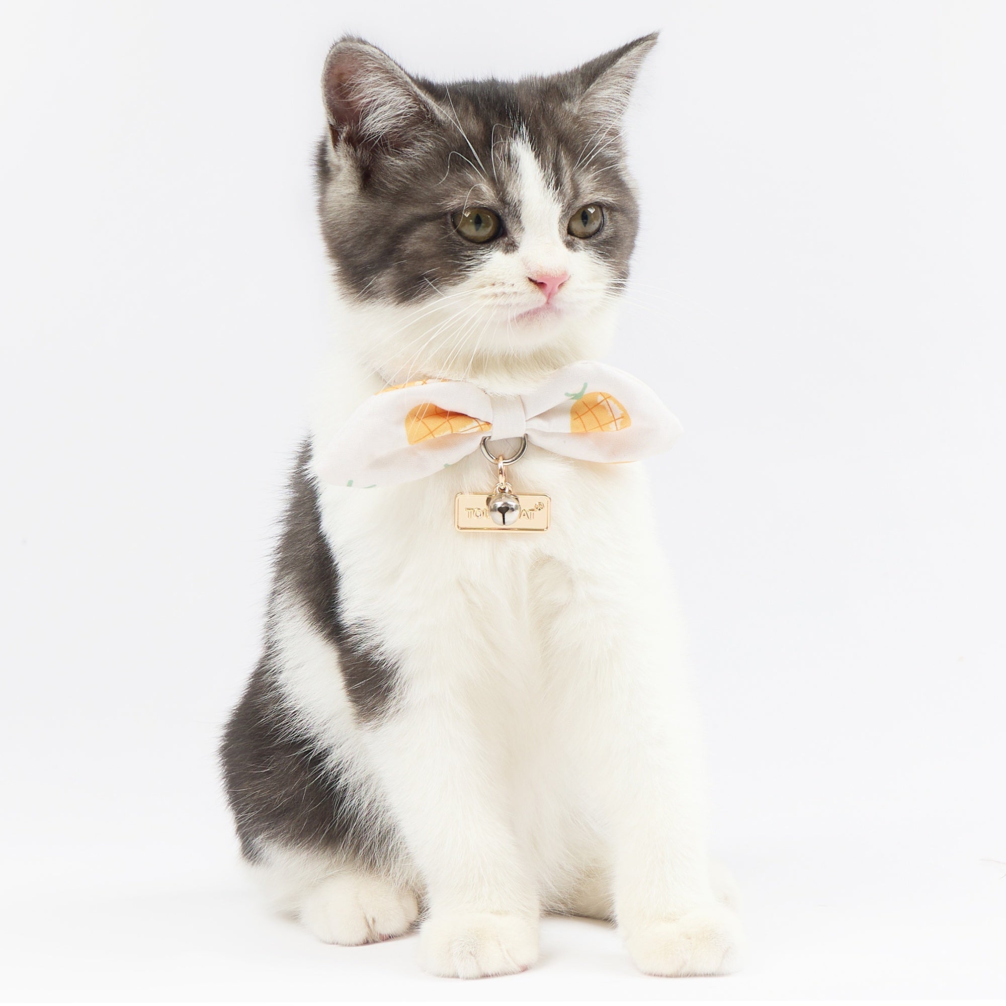Touchcat ® Pineapple Patterned Designer Cat Collar with Bow Yellow Small