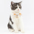 Touchcat ® Pineapple Patterned Designer Cat Collar with Bow Yellow Small