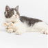 Touchcat ® Pineapple Patterned Designer Cat Collar with Bow