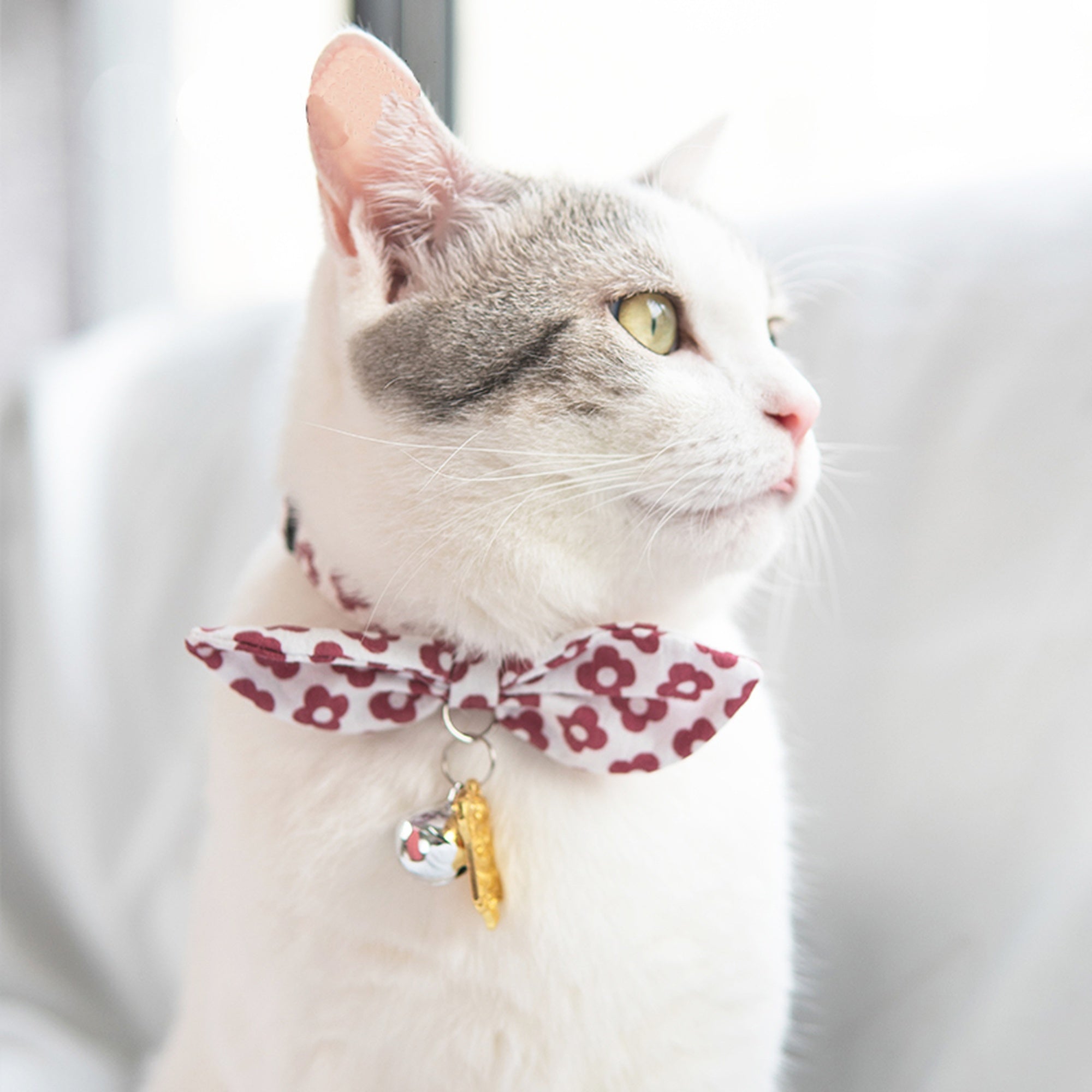 Touchcat ® Miss-Daisy Designer Cat Collar with large Bowtie and Bell Charm