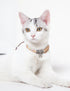 Pet Life ® Touchcat Lucky Charms Fashion Cat Necklace or Cat Collar with Designer Accent - 4 Pack