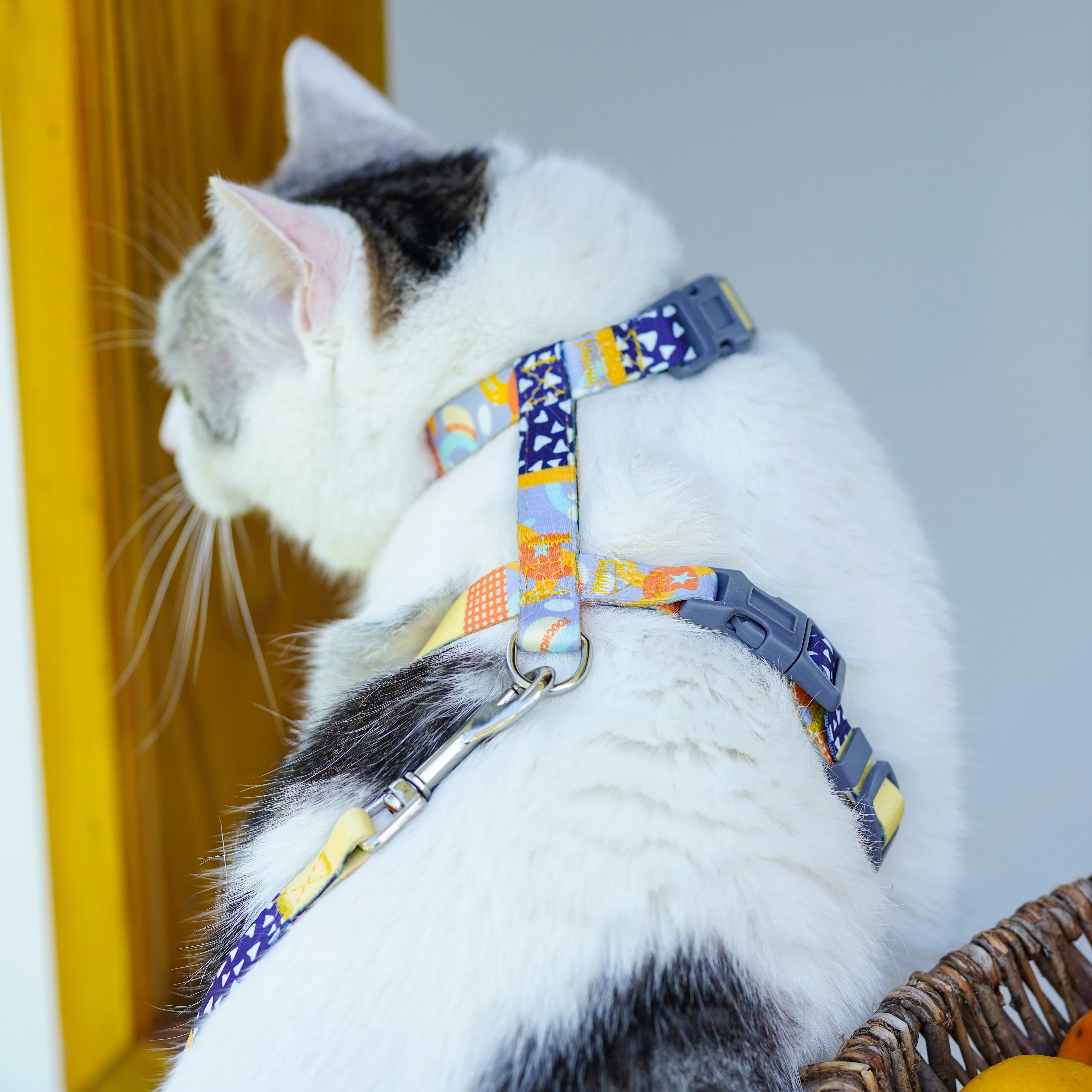 Touchcat ® Multi-Shape Patterned Fashion Cat Harness and Leash  