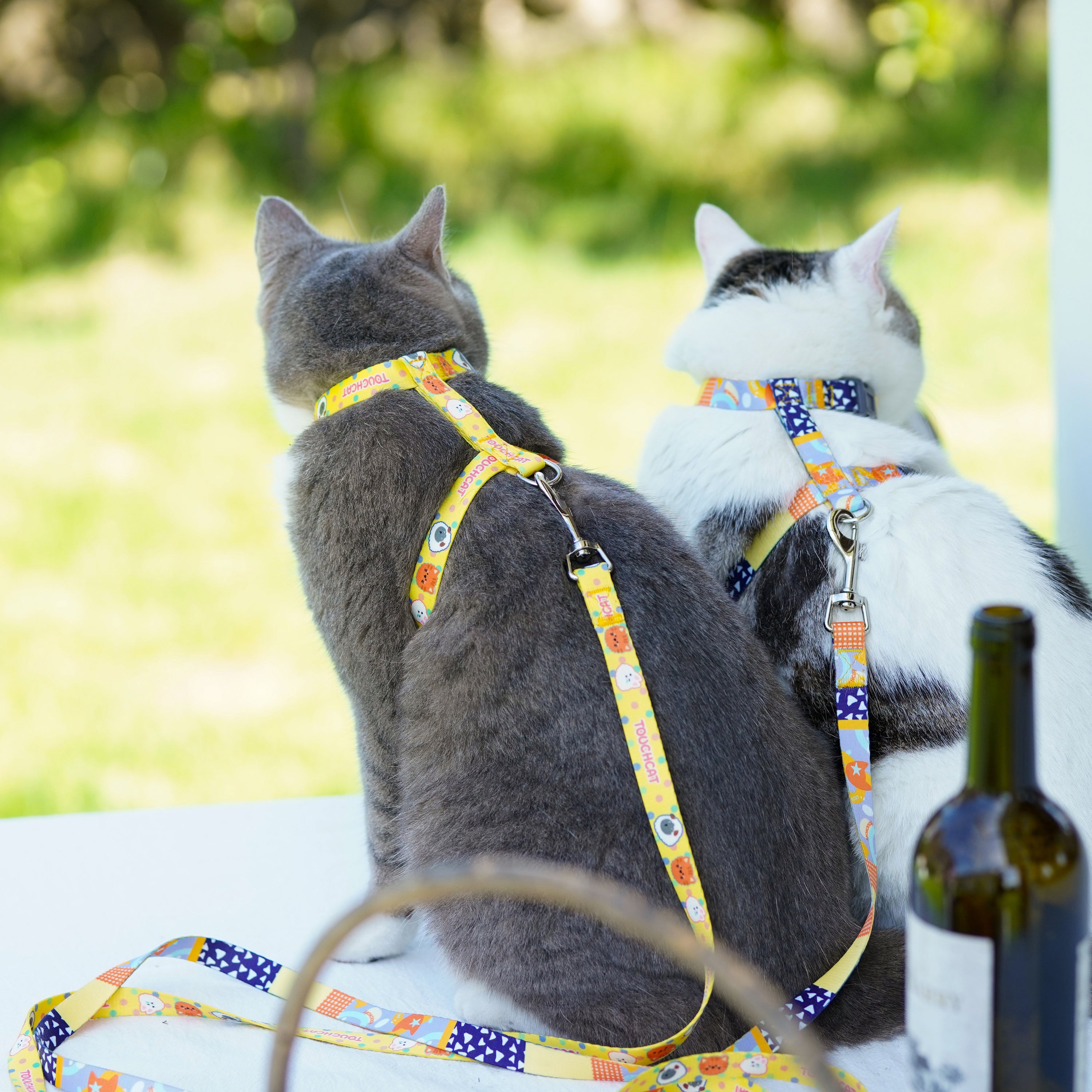 Touchcat ® Multi-Shape Patterned Fashion Cat Harness and Leash  