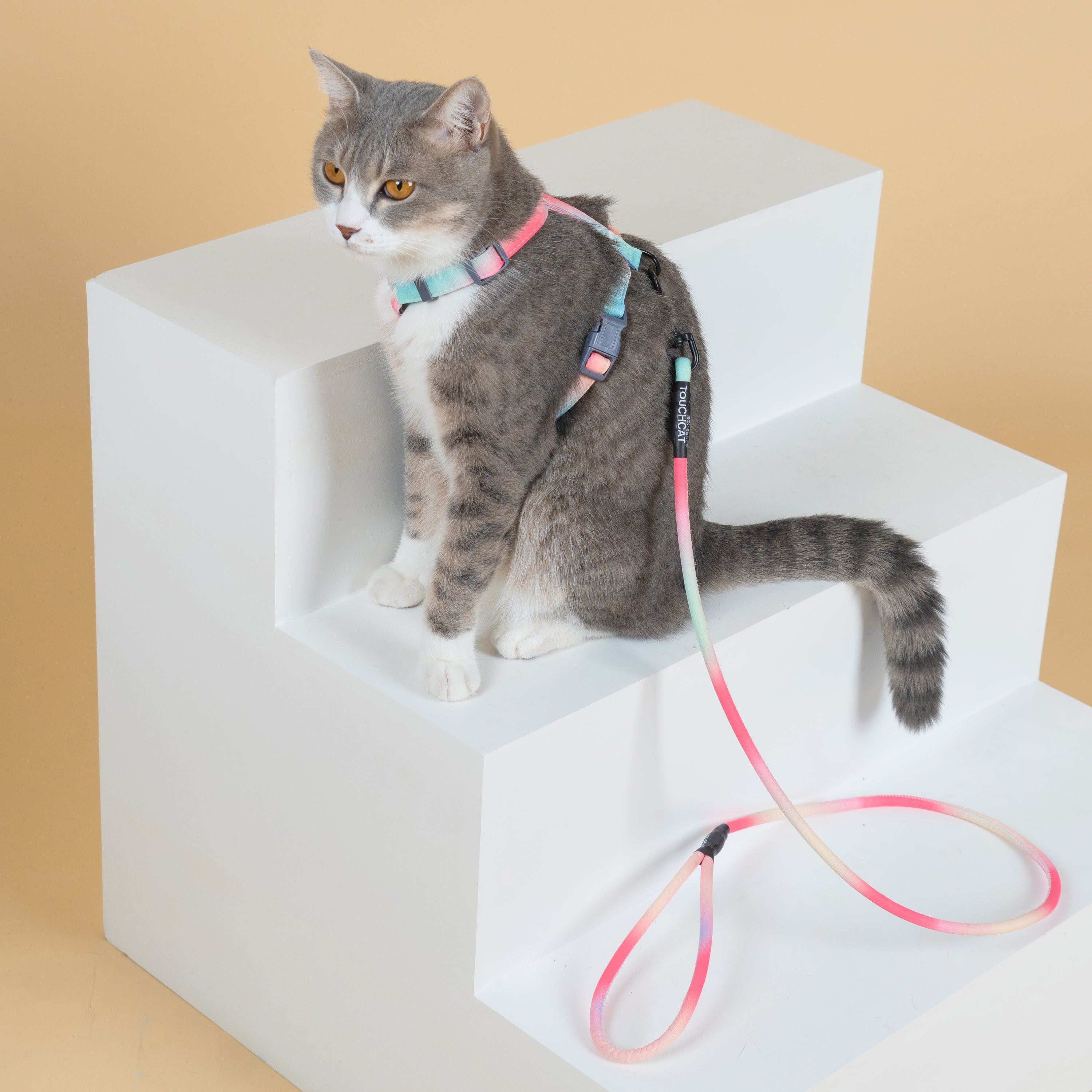 Touchcat ® Rainbow Patterned Fashion Cat Harness and Leash  