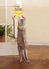 Pet Life ® Hanging Carpet Cat Scratcher Lounger and Cat Toy - 2 Piece Set